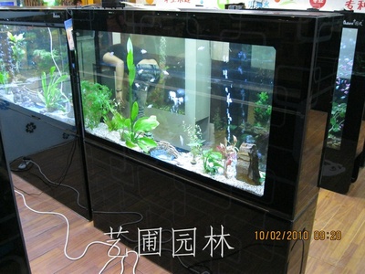 艺圃