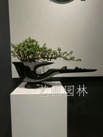 艺圃专属