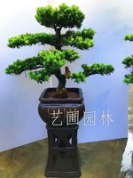 艺圃专属