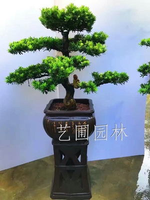 艺圃专属