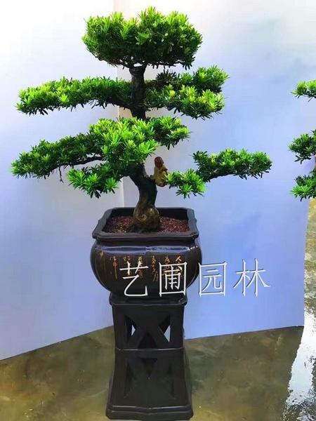 艺圃专属