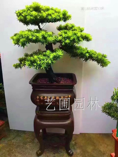 艺圃专属