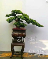 艺圃专属