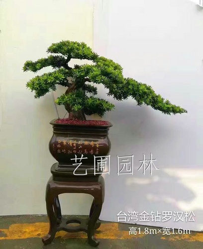 艺圃专属