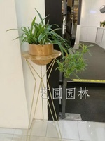 艺圃专属