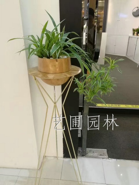 艺圃专属
